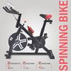 Stationary Exercise Bike Fitness Cycling Bicycle Cardio Home Sport Gym Training