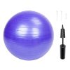Yoga Ball Smooth Surface Gym/Household Explosion-proof Thicken 65cm 1050g  Purple
